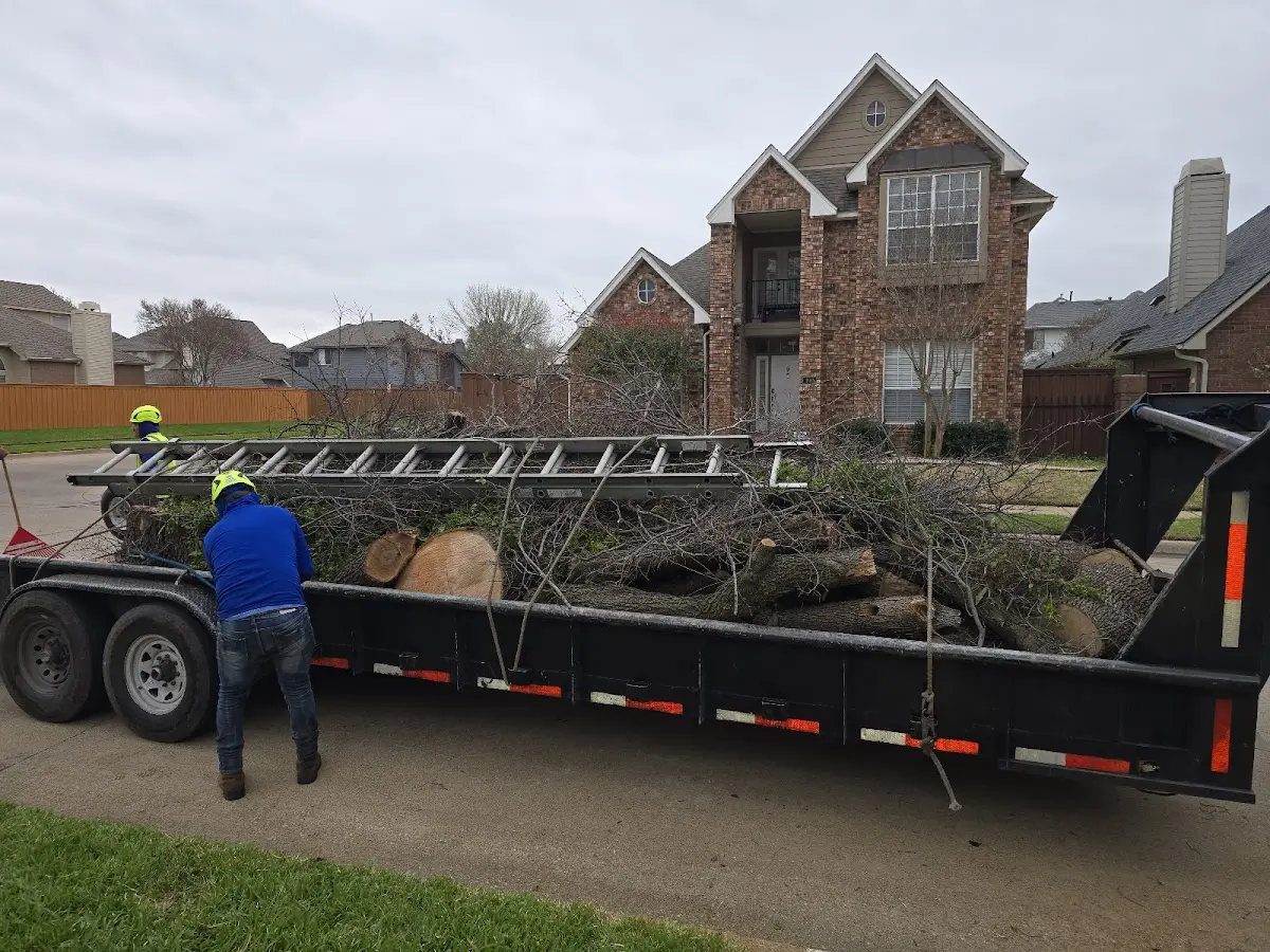 Expert Lot Clearing with proper safety equipment in Howes